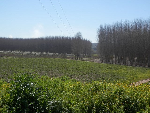 La Confederación Hidrográfica del Guadalquivir (CHG) licita las obras del mantenimiento de la finca La Ropera por un valor de un millón de euros