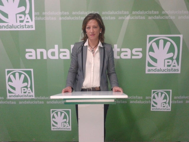 El PA considera que el Equipo de Gobierno no ha alcanzado el 10% del programa electoral