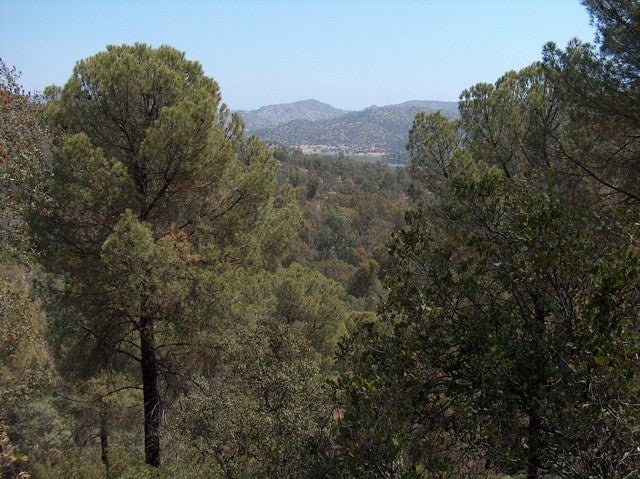 Sensibilización y formación práctica ante el riesgo de incendio en Las Viñas