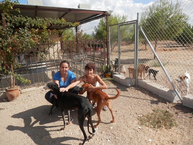 La Sociedad Protectora de Animales denuncia un abandono cada vez más continuado de perros