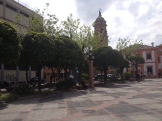 Azahar y jara