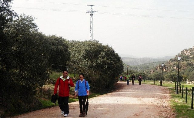 La Asociación Medioambiental para la Conservación de Plantas y Animales exige la adecuación del cinturón verde