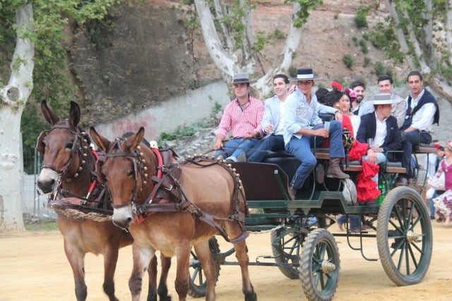 Colón alberga a las caballerías y las carretas recorren Ejido del Puente