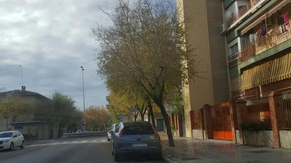 Fomento adjudica las obras de reurbanización del sector Almería en Andújar