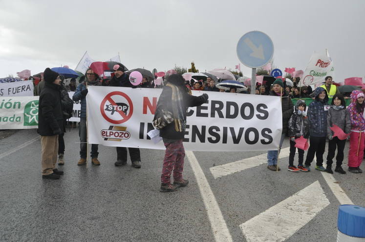 Un empresario pretende construir un complejo de siete granjas de cerdos en una extensión de 1.100 hectáreas en Dehesas de Guadix a dos kilómetros de Cuevas del Campo 