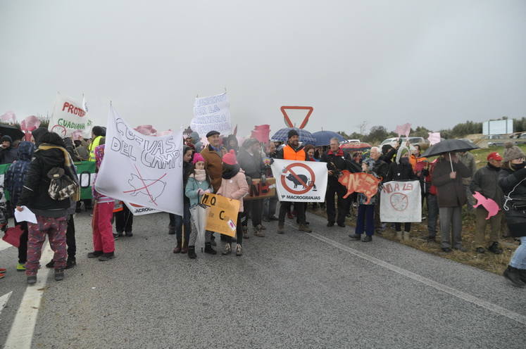 Un empresario pretende construir un complejo de siete granjas de cerdos en una extensión de 1.100 hectáreas en Dehesas de Guadix a dos kilómetros de Cuevas del Campo 