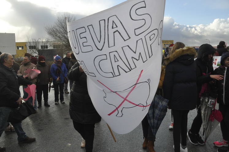 Un empresario pretende construir un complejo de siete granjas de cerdos en una extensión de 1.100 hectáreas en Dehesas de Guadix a dos kilómetros de Cuevas del Campo 