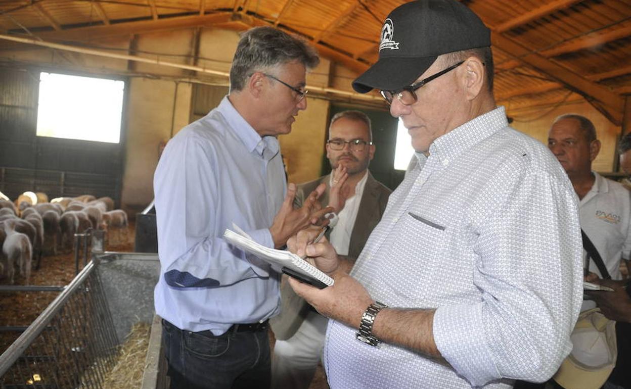 Cuba se interesa por el modelo de producción del cordero segureño