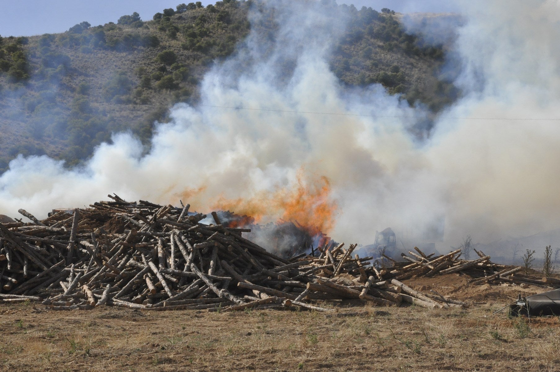 Fotos: Las imágenes del incendio de la fábrica de pellets de Huéscar