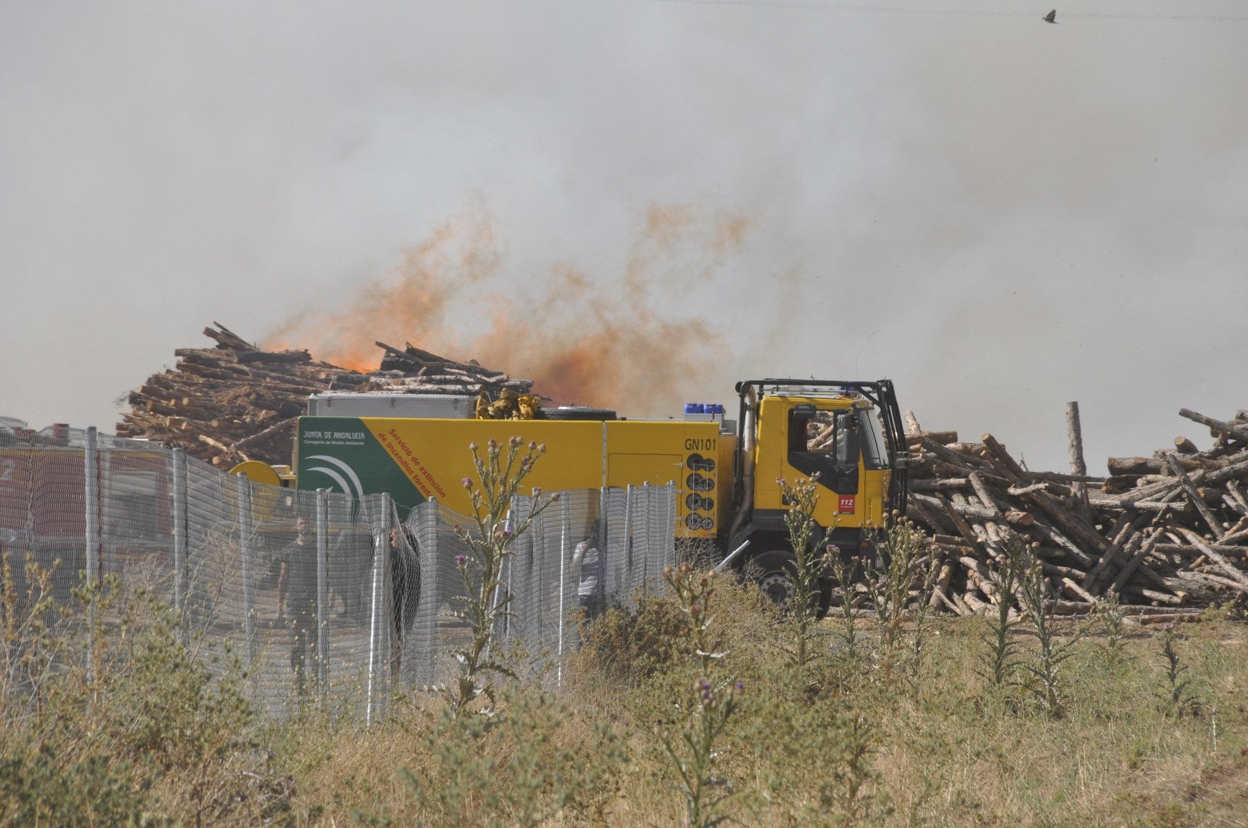 Fotos: Las imágenes del incendio de la fábrica de pellets de Huéscar