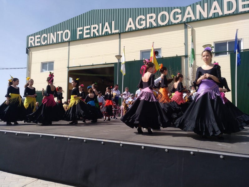 El buen tiempo y la participación ciudadana contribuyó al éxito de todas las actividades programadas, que se volverán a repetir en ediciones venideras 