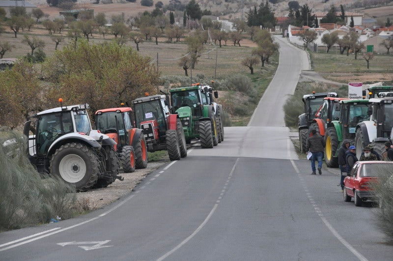 Decenas de tractores marcharon en el norte de la provincia.