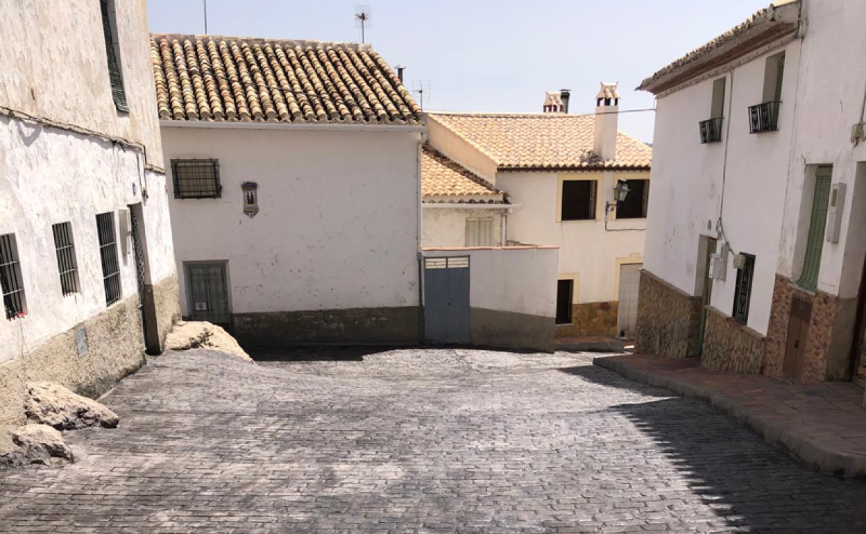Placeta Carasol