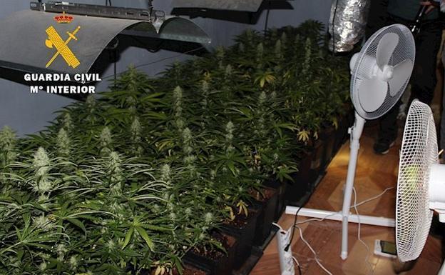 Cultivan marihuana en una casa de La Malahá donde los anteriores inquilinos también tuvieron otro invernadero
