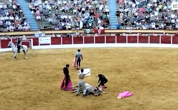 Vídeo del incidente ocurrido el sábado grabado por un espectador.