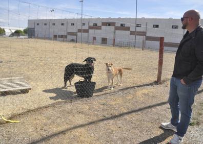 Imagen secundaria 1 - Instalaciones de la perrera.