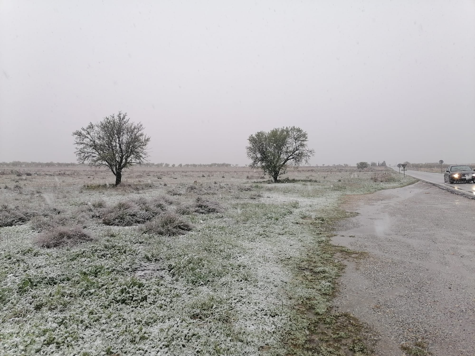 Nieve en Baza