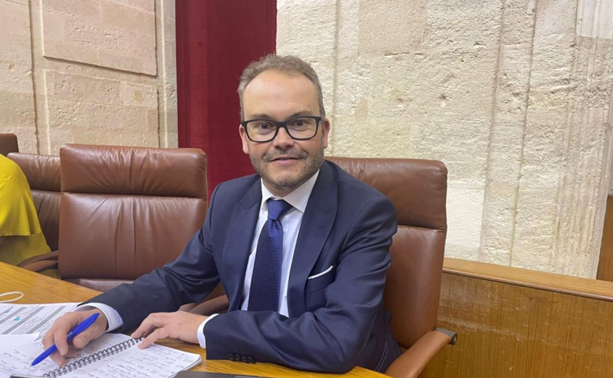 Mariano García Castillo. Parlamentario Andaluz ( PP) 