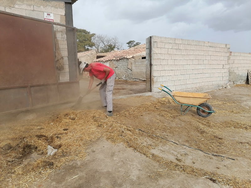 Las ganaderias afectadas tienen que ser limpiadas a fondo y desinfectadas por dos veces
