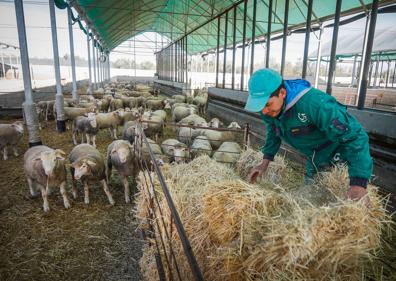 Imagen secundaria 1 - Rafael Izquierdo y las instalaciones de Cebacor en Baza. 