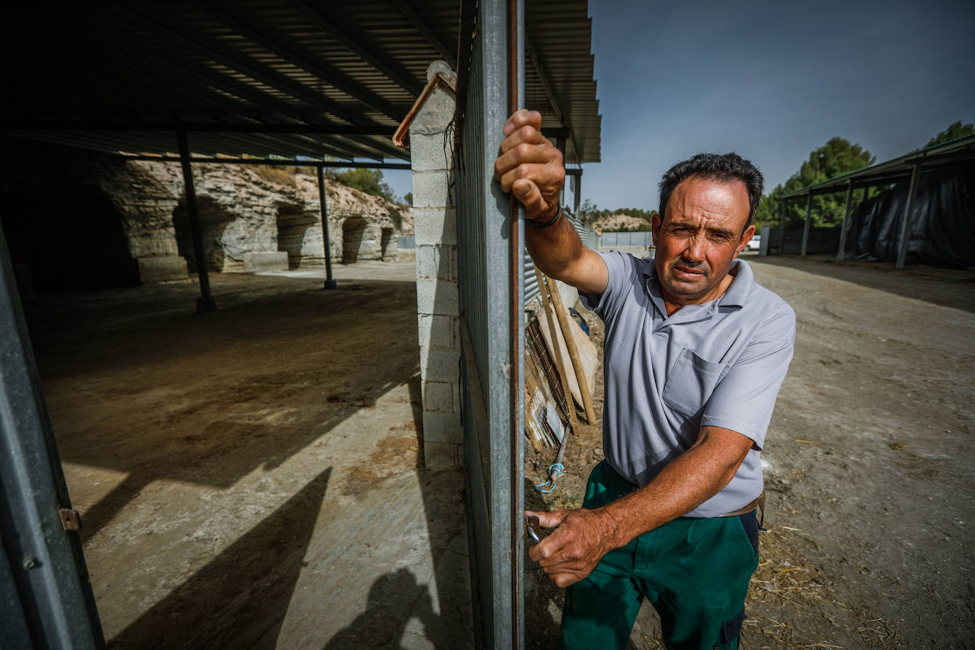 El ganadero Pedro Ruiz, de Benamaurel, lleva parado desde octubre, cuando sacrificaron su rebaño y todavía no puede volver a echar ovejas.