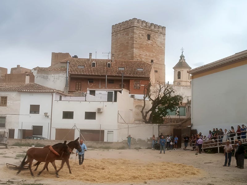 Orce acoge la VI Feria ecológica del Altiplano