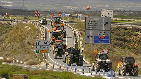 Agricultores de Baza y Huéscar exigen las ayudas del Gobierno y de la UE para los frutos secos de cáscara