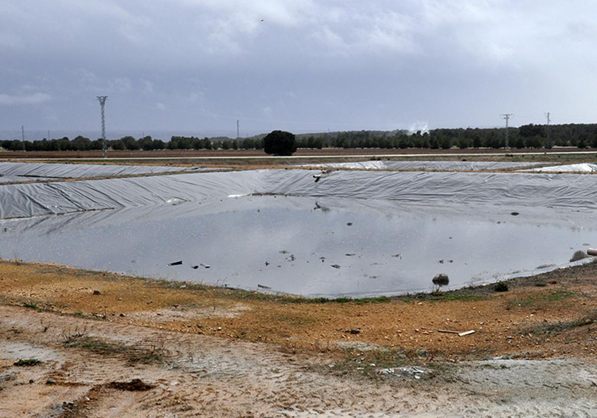Balsa de purines de las muchas macrogranjas de cerdos que hay en el municipio