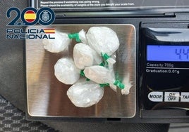 Registros de la Policía Nacional se saldan con incautos de Hachís, cocaína y varios detenidos en la Feria de Baza