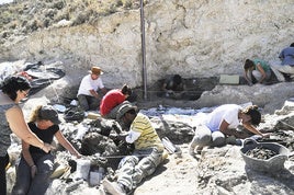 Yacimiento peleontológico Baza 1