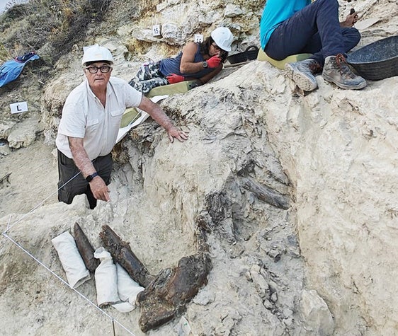 La novena campaña de excavaciones en el yacimiento paleontológico de Baza entra en su recta final