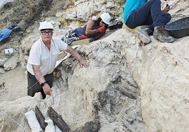 Bienvenido Martínez, señala los restos del mastodonte Anancus Arvernensis en los niveles superiores del yacimento