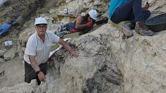 Recta final para la novena campaña en el yacimiento paleontológico de Baza