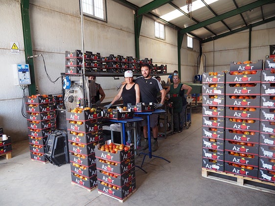 AGAPRO defiende la Innovación del PGOU de Baza