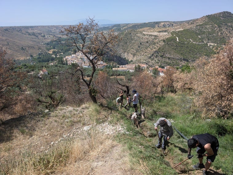 Castril ayuda a mantener el brazal del Trillo en una jornada de voluntariado ambiental y conservación del patrimonio hidráulico local