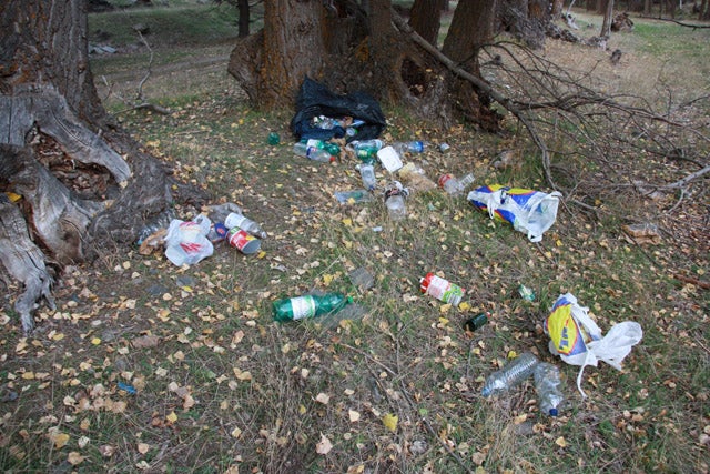 El Parque Natural de la Sierra de Baza se llena de basura tras la recolección masiva de níscalos