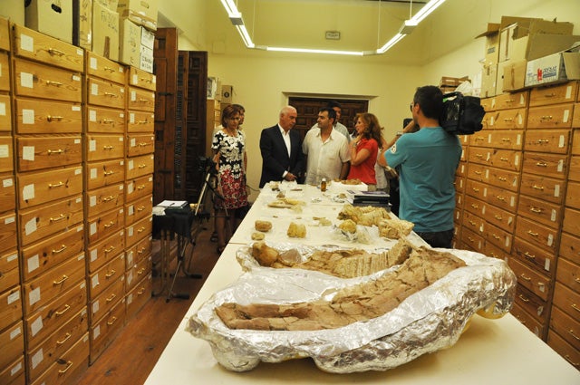 Curso sobre Orce y los secretos de la evolución humana en Europa