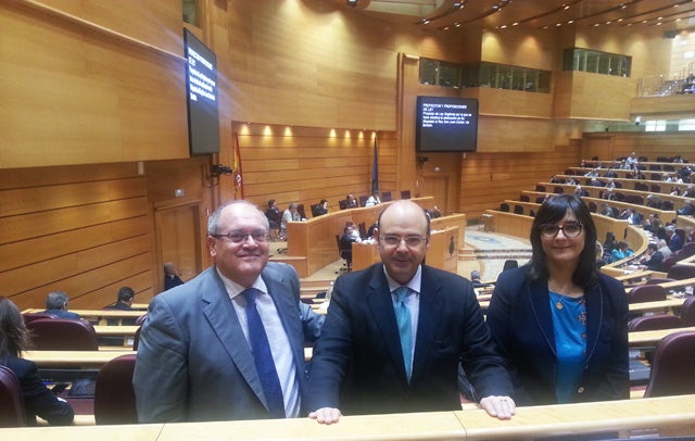 María José Martín participa en el pleno histórico sobre la abdicación del Rey Juan Carlos