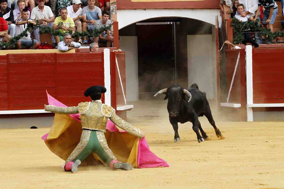 Triunfo de Aguilino Girón en Montoro