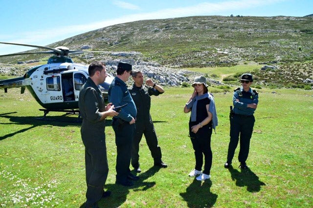 La Junta despliega un plan antiveneno en la Sierra de Castril para proteger al quebratahuesos