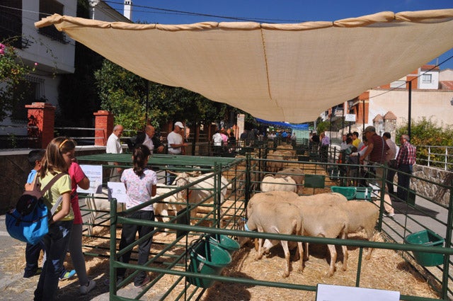 La Puebla organiza sus V Jornadas del Cordero Segureño