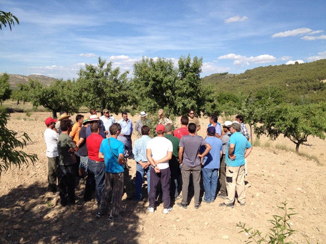 Puebla de Don Fadrique acoge unas jornadas formativas dirigidas a agricultores de almendro