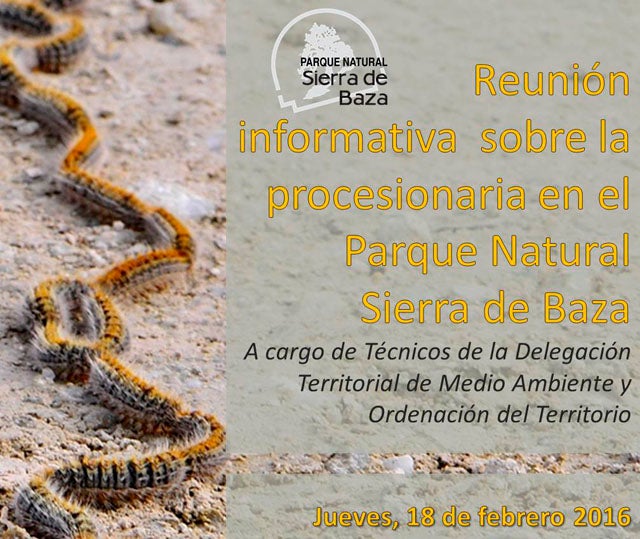 Charla informativa en Baza sobre la procesionaria