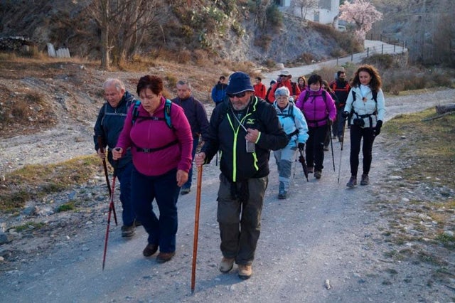 El programa municipal de senderismo llevará hasta el Pino de la Señora
