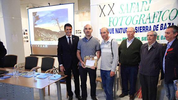 Ganador Safari Fotográfico 