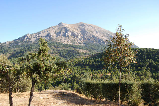 El PSOE pedirá en el Parlamento la ampliación del Parque Natural de Castril hacia La Sagra