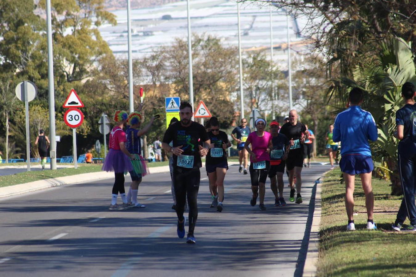 Más de medio millar de runners disfrutaron esta mañana de la XII edición de la Media Maratón de El Ejido Ciudad de las Hortalizas. Una carrera rápida, vistosa y que mantenía el mismo recorrido de ediciones anteriores, con varias subidas que obligaron a los corredores a tener que dosificar y en la que se mejoraron los tiempos de la pasada edición.