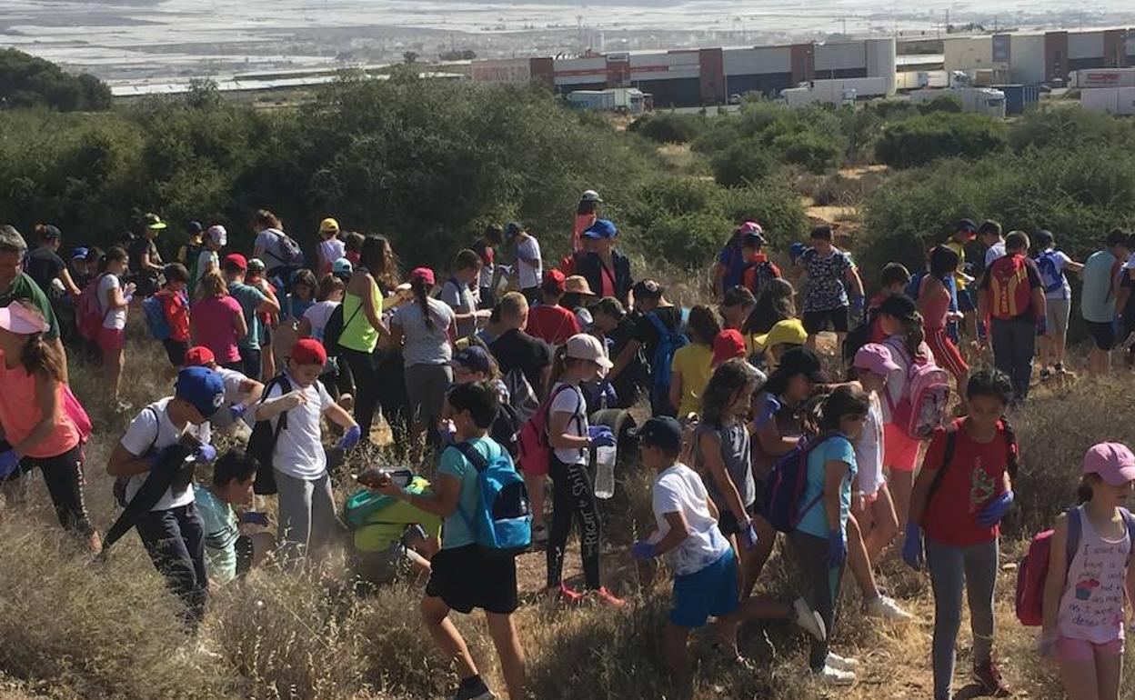 Un respiro para el Medio Ambiente