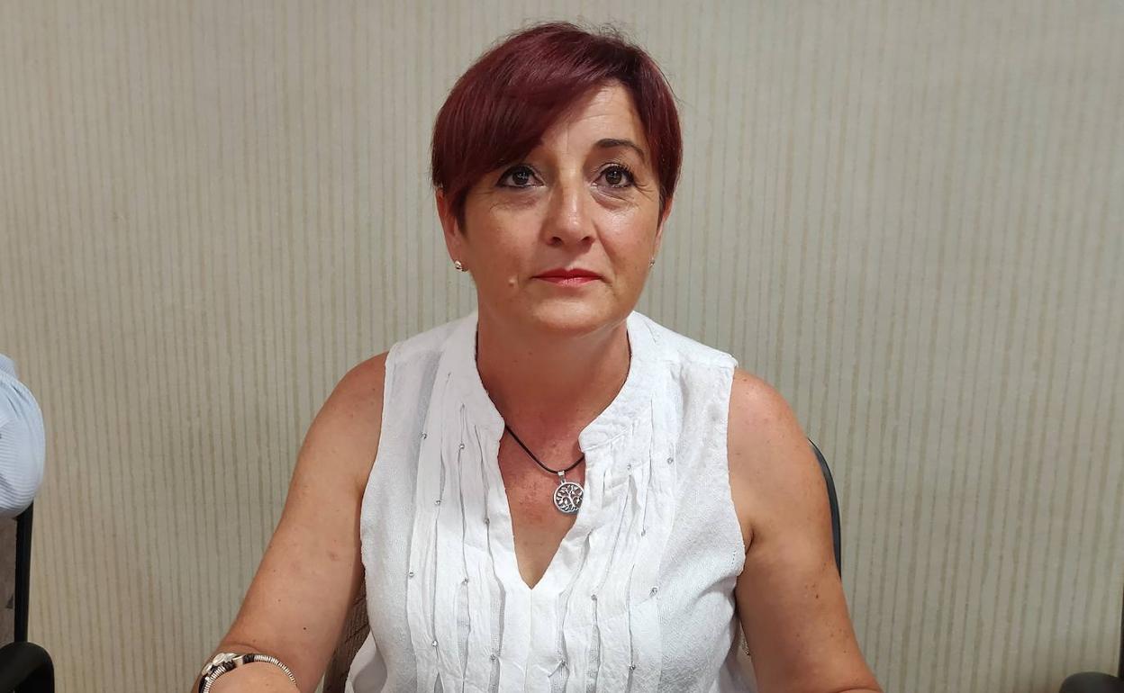 El PSOE critica en el Pleno el plan de fumigación en los núcleos