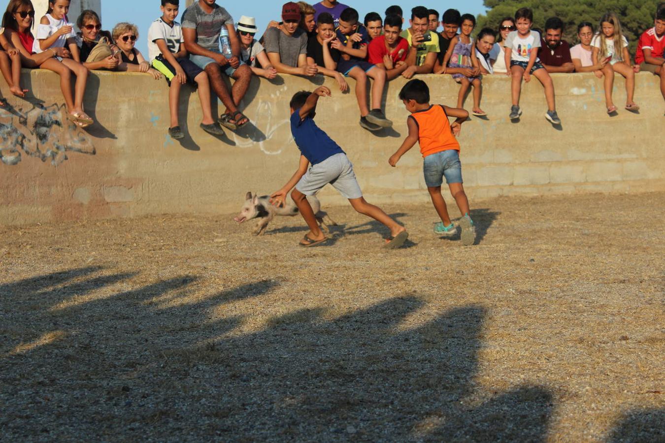 El núcleo ejidense de San Agustín continúa disfrutando de la amplia y variada programación elaborada por la Junta Local con motivo de sus fiestas patronales en honor de San Agustín y la Virgen de La Consolación, que se desarrollan hasta mañana domingo. Tras la disputa del Rally de Carretillas y el Lanzamiento de Bolsos del jueves, las fiestas continuaron ayer con la caza del marranillo y el tiro con cuerda y con barra entre los adultos.